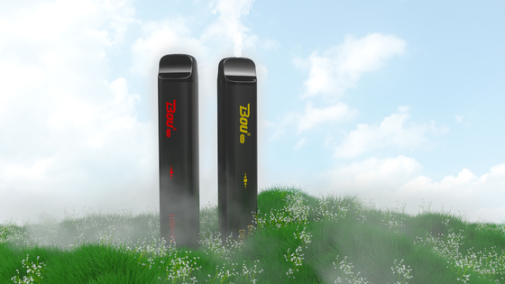 버릴 수 있는 3000 퍼프 BOU 바 연기 5% Nic 1350mAh 13 맛 10 밀리람베르트 Ｅ 여송연
